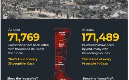 Dodental en Gewonden in Gaza sinds Begin van het Geweld