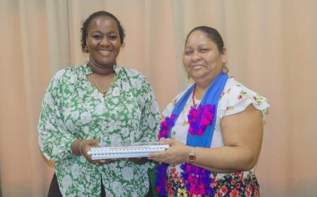 Nieuwe koers in relatie RO en VIDS: focus op communicatie en uitvoering vonnis