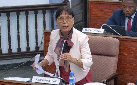 Ann Sadi over e-bikes: “Het kan zo niet doorgaan in het land”