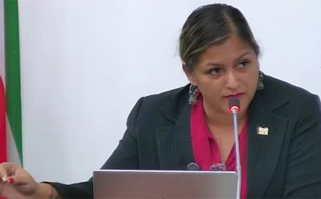 Opmerking Jarbandhan over ‘politieke kleur’ pg leidt tot commotie in DNA