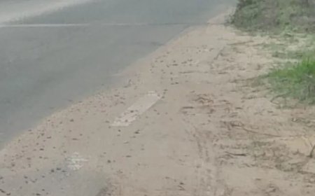 Bezorgde burger slaat alarm over Parakreek-brug en verzakking Meursweg