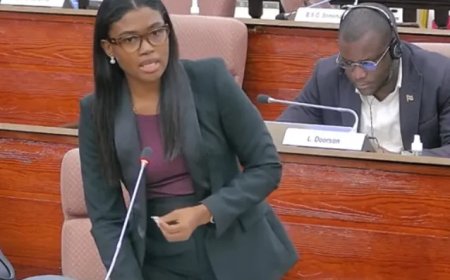 Mie e friering ien mie saka – lekker vol