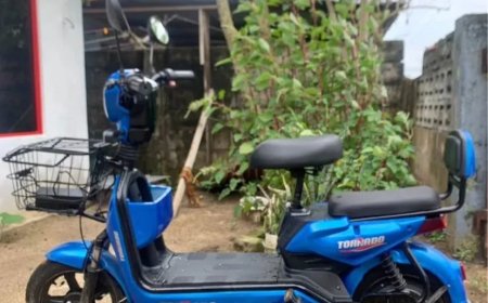 E-bikes zijn zuinig in energieverbruik – Met een volle accu kom je ver