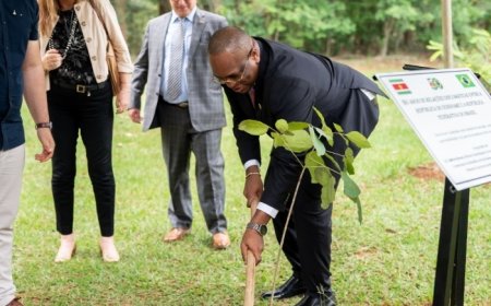 50 jaar diplomatieke betrekkingen Suriname en Brazilië: Bouva plant groenhartboom