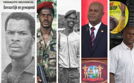 Brunswijk als symbool van vrijheid in een gespannen coalitie  