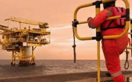 KMO’s en de nieuwe olie-industrie: kansen, uitdagingen en de weg vooruit  