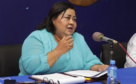 Silos waarschuwt voor politisering van initiatiefwetten: “Raak de trias politica niet met pow