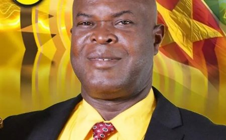 Brunswijk, redder van de vrijheid of laatste blokkade tegen de machtsgreep