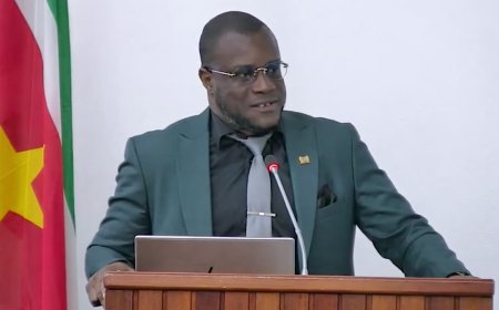 Doorson doet voorstellen om politieke invloed bij Openbaar Ministerie te beperken