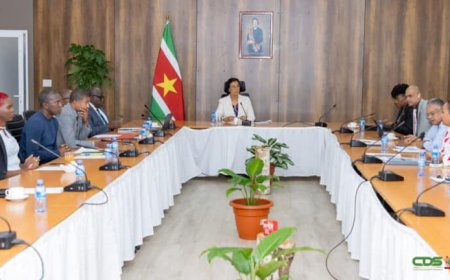 Nieuwe president-commissaris MAS: ‘Voortbouwen op strategische koers’