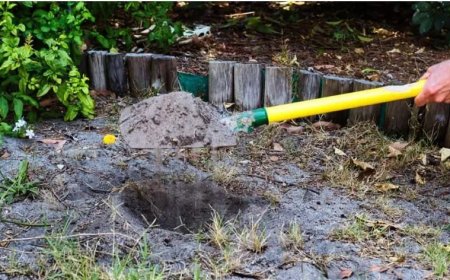Man die zijn spaargeld in een sok in de tuin begroef, verslaat opnieuw Bitcoin