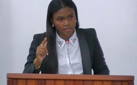 Tashana Lösche: Nieuwe structuur Openbaar Ministerie moet rechtsstaat definitief beschermen