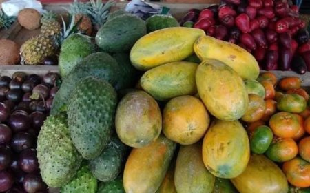 Vruchtbaar land Suriname, lege fruitmand