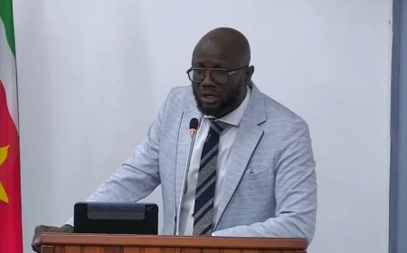 Jones: “Deze wetten beschermen burgers tegen willekeur en politieke inmenging”