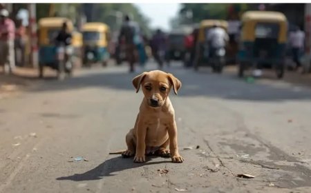Man (20) opgepakt in Mumbai na seksueel misbruik en mishandeling van puppy