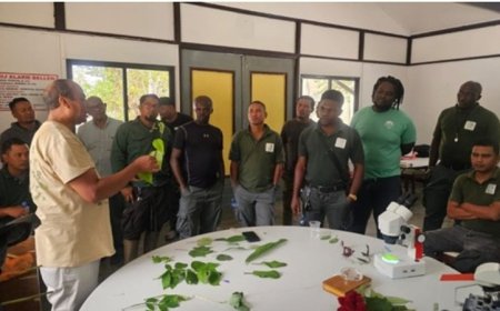 Tekort aan boomkenners aangepakt met intensieve opleiding 2025-2026