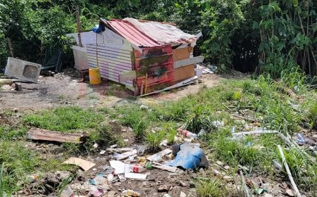 Column: Wegkijken is medeplichtig