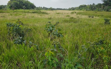 ONBRUIKBAAR GEWORDEN