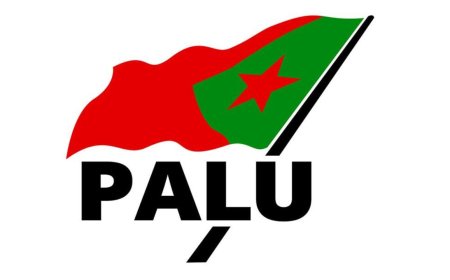 PALU roept DNA op behandeling initiatiefwetten rechtsstaat aan te houden