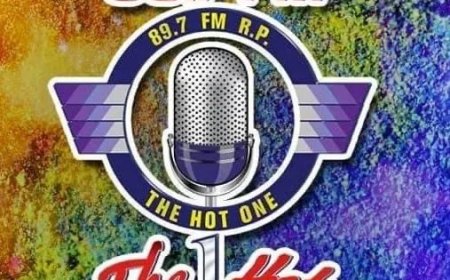 Lees artikelen uit Die Welt-  Sterke stijging van asielklachten belast Duitse rechtspraak