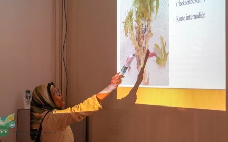 LVV intensiveert voorlichting over cassaveziekte in Oost-Suriname