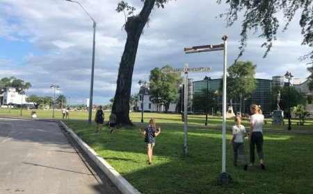 Het plein dat verdween en de boom die te veel wist