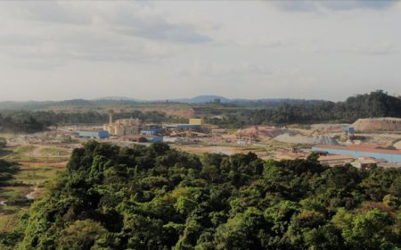 Elskamp: ‘Illegale gouddelvers moeten concessie Rosebel Gold Mines verlaten’