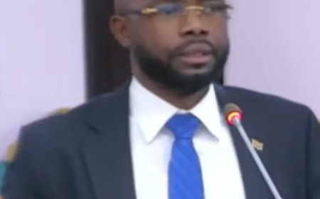 Kritiek in DNA op inzet buitenlandse arbeidskrachten zonder werkvergunning door Zijin