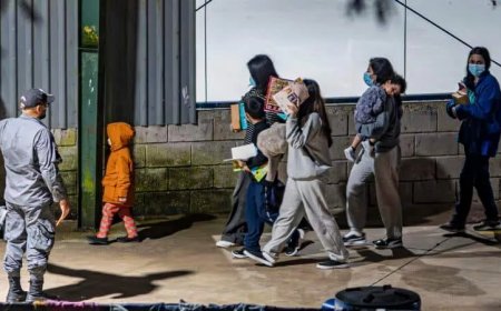 Grootste potloodmaker ter wereld verwijt Costa Rica fabriek als ‘cel’ te gebruiken 