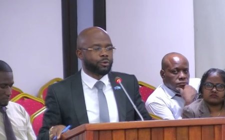 Misiekaba pleit voor legalisatie illegale bekwame immigranten