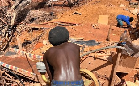 Overheid moet wijsheid betrachten in oplossing conflict te Nieuw Koffiekamp