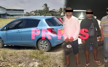 Taxichauffeur en twee illegale Brazilianen opgepakt door politie Regio West