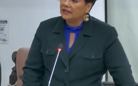 Karta-Bink vraagt serieuze aandacht voor duizenden onverzekerde vreemdelingen die drukken op 