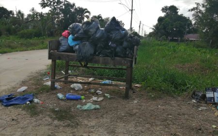 Vuilophaal delen Lelydorp niet optimaal