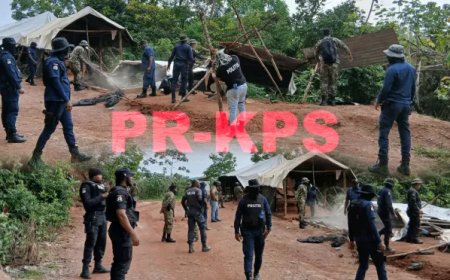 40 goudzoekerskampen ontmanteld tijdens grootschalige actie in Royal Hill-gebied