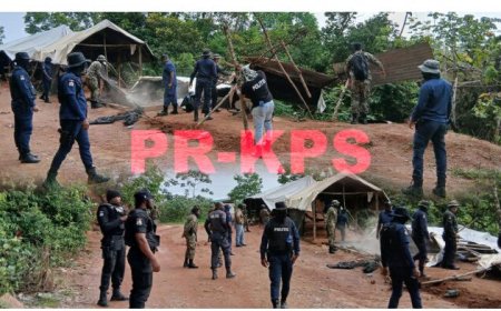 Operatie Clean Sweep van start: 40 kampen neergehaald