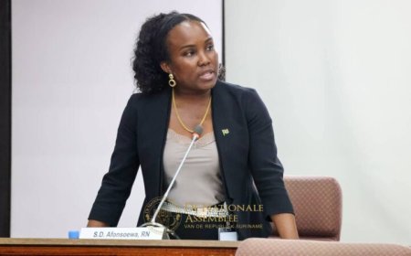 DNA-lid Afonsoewa:Aangepaste wet Arbeidsadviescollege moet zorgen voor stabiliteit en sociale