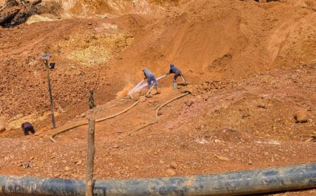 Gemengde reacties op verlaging royalty’s