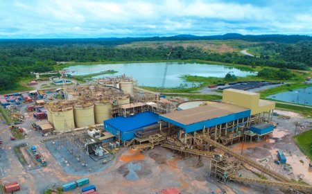 Goudmijnmultinational Zijin onder vuur in DNA wegens omzeiling arbeidsregelingen