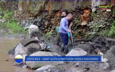 Opmerkelijk – 10.000 tot 40.000 jaar oude fossielen van mastodont en reuzenluiaard gevonden i