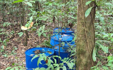 Concessiehouder en Venezolaan aangehouden na ontdekking illegale duikboot te Witagron