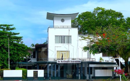 Parlementaire oproep: herstel het vertrouwen in de rechtsstaat