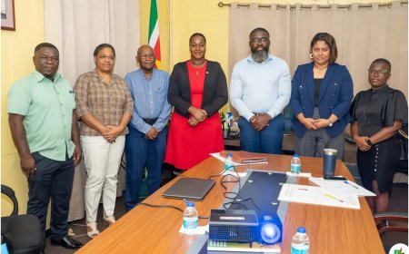 RO ondersteunt proces rond aanneming Grenswet