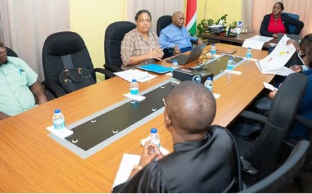 RO  wil via liba krutu vaart brengen in grenswet Suriname–Frans-Guyana