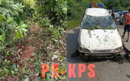 Identiteit bekend omgekomen bestuurder auto die in ravijn reed