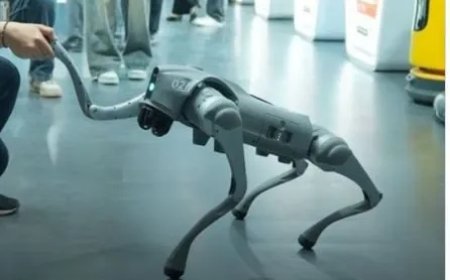 Professor creëert tumult door Chinese robothond voor te stellen als lokaal product.