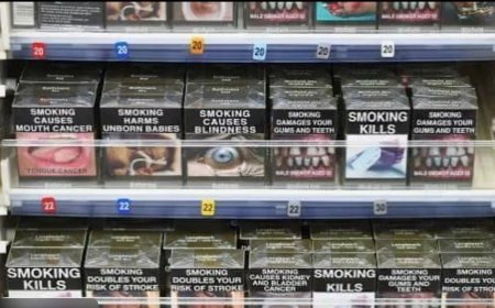 Accijnzen omhoog, smokkel omhoog: de winst van het verbod