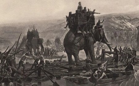 Opmerkelijk – Botten in Spanje bewijzen mogelijk dat Hannibal met olifanten Alpen overtrok