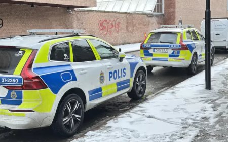 Man in Zweden verdacht van uitbuiten van zijn vrouw voor seks met 120 mannen