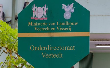 LVV start pluimveetrainingen voor jongeren en startende kwekers